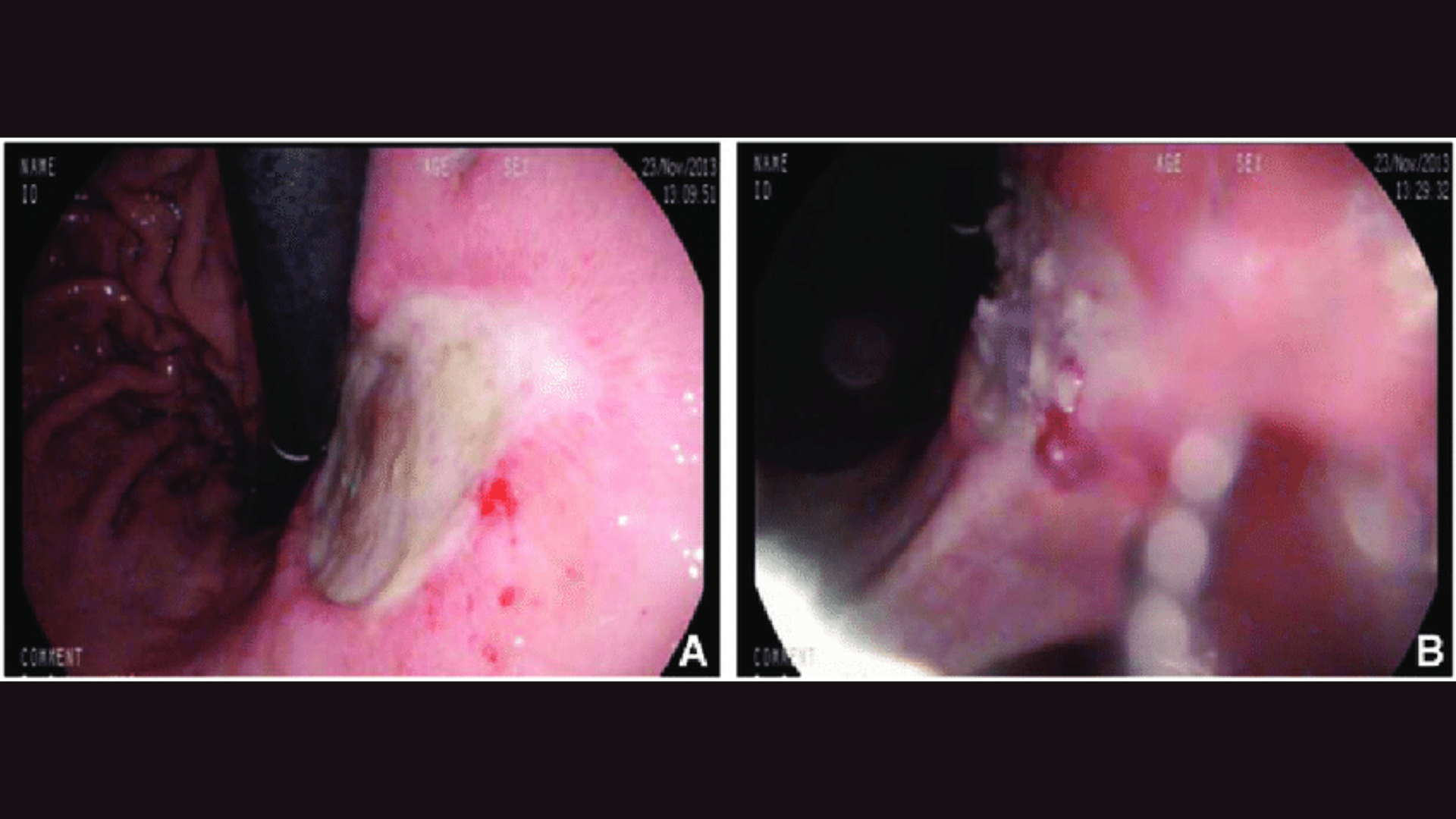 Physiotherapy & Rehabilitation